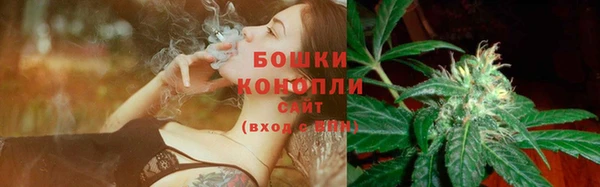 СК Абинск