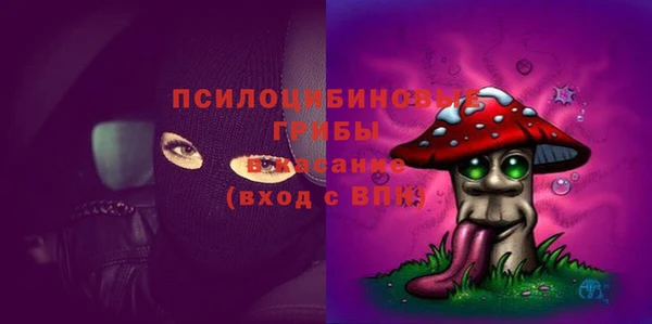 винт Новозыбков