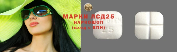 СК Абинск